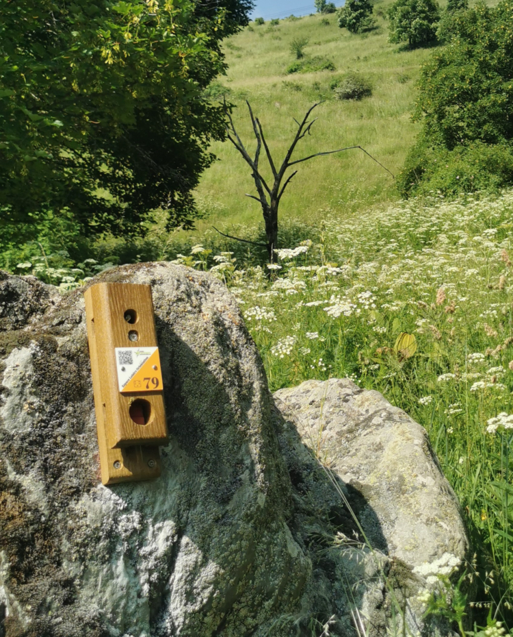 Image de St Martin de Belleville – parcours Vert