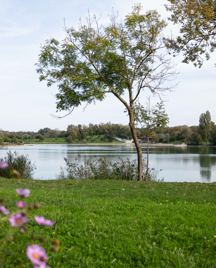 Image de Domaine du lac de Champos