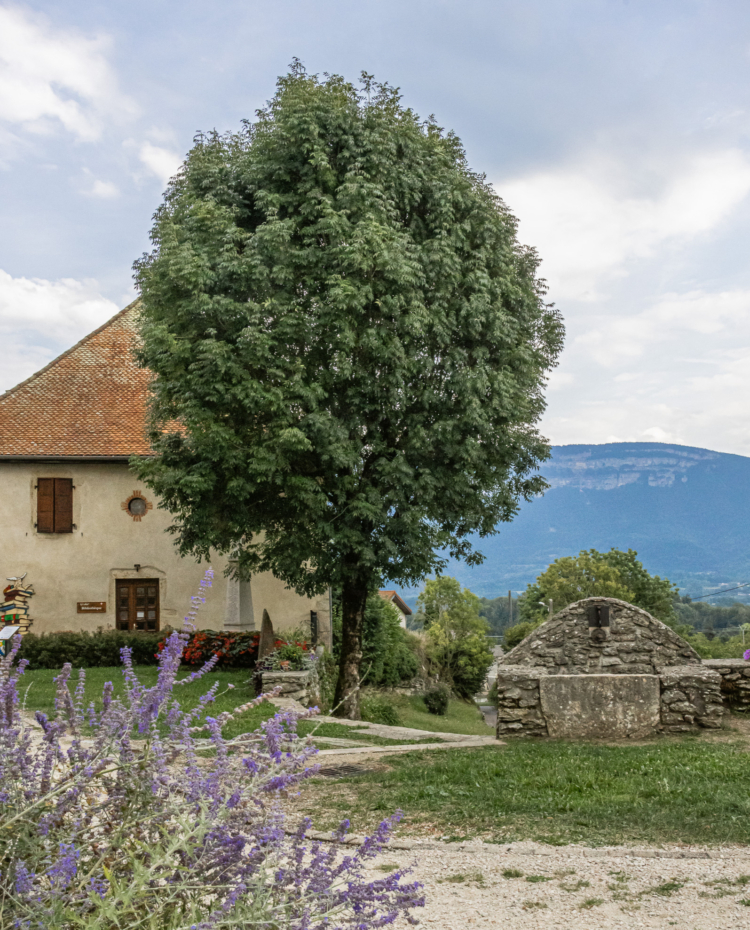 Image de A la découverte du village de Dullin