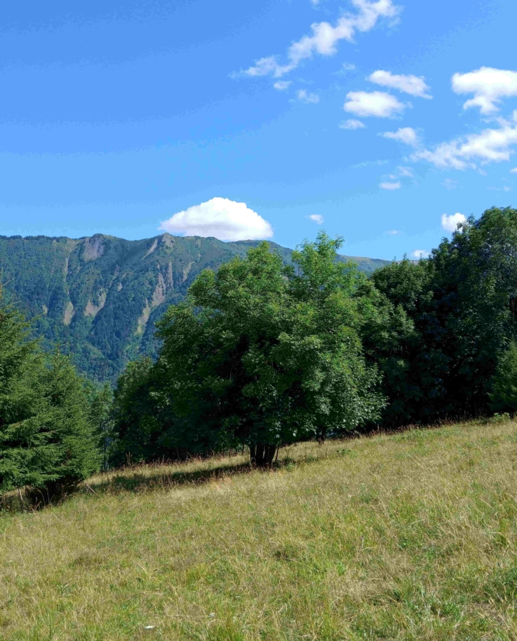 Image de parcours rando-trail de St Alban des Villards