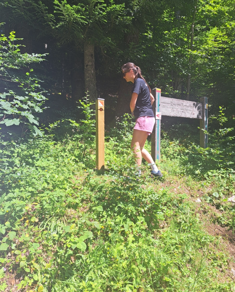 Image de Espace Poirée -Vassieux en Vercors – Parcours Ludique